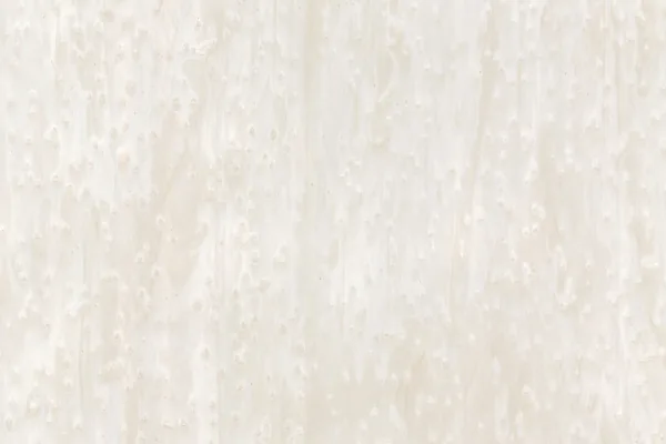 ALPI 1209 Ice Erable veneer swatch